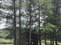 -南宁良凤江国家森林公园