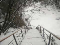 -青峰峡国家森林公园