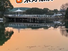 -新江湾城公园