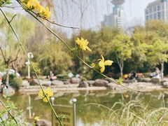 -新虹桥中心花园