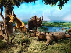 -国家自然博物馆