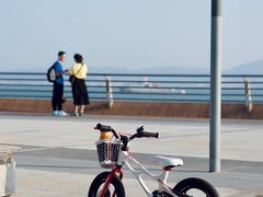 -演武大桥观景平台