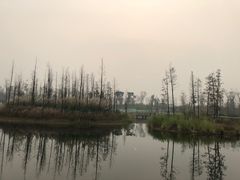 -白鹭湾湿地公园