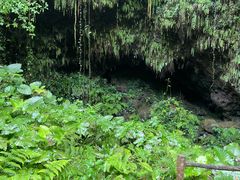 -海口火山口国家地质公园