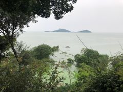 -上海市保健医疗中心