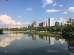 -洛龙公园