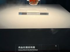 -北京大葆台遗址博物馆