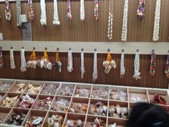 -青岛贝壳博物馆