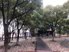 -苏州太湖湖滨国家湿地公园