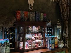 -雪灵魔法世界SHELLY’S TAROT(大良桂畔里店)