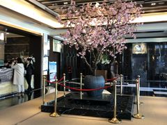 -东方之珠洗浴休闲广场(南开店)