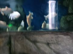 -泉州海丝野生动物世界