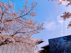 -龙美术馆(西岸馆)