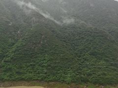 -武陵山森林公园