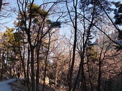 -沂蒙山旅游区云蒙景区(蒙山国家森林公园)