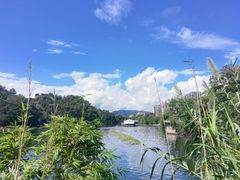 -几荷·恰似故人来(秀水广场店)