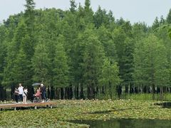 -白鹭湾湿地公园