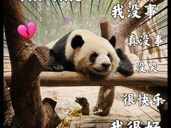 -广州长隆野生动物世界