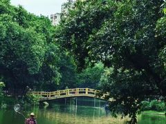 -晓港公园