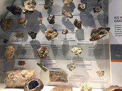 -墨尔本博物馆(Melbourne Museum)