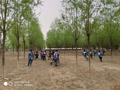 -亲兄弟真人CS团建拓展基地