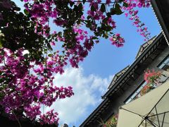 -海韵人家.海景花园经典云南菜(双廊店)