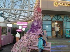 -琴岛之星摩天轮