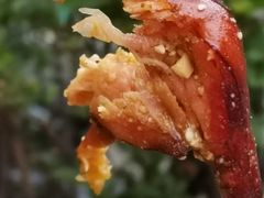 五香手撕烤兔-老黄记手撕烤兔(玉林街店)