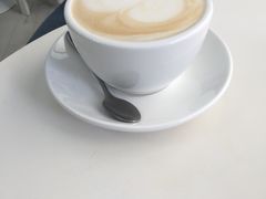 -喵的天空名猫咖啡馆·撸猫·猫舍·用品