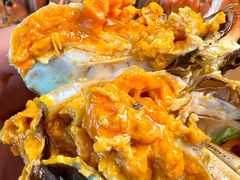 -品鲜村农家菜·阳澄湖大闸蟹(总店)