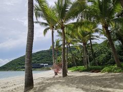 -柏悦酒店-沁园牛排海鲜西餐厅