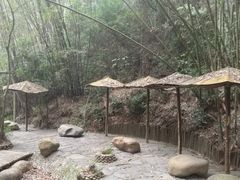 -东部华侨城