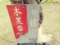 -四川大学(江安校区)