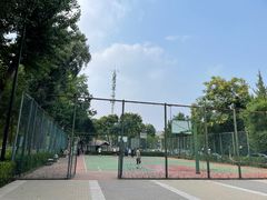 -大兴滨河森林公园