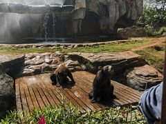 -海南热带野生动植物园