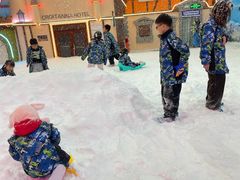 -世界之窗阿尔卑斯冰雪世界