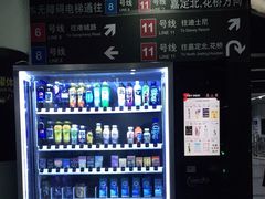 -东方体育中心(地铁站)