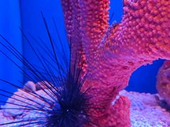 -上海海洋水族馆