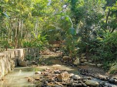 -深圳仙湖植物园