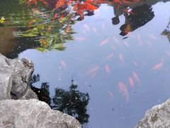 -寒山寺
