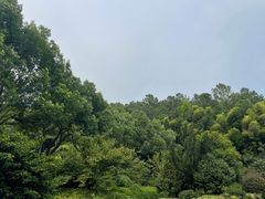 -九龙潭景区