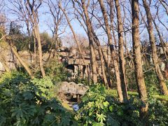 -金孔雀温泉旅游度假村