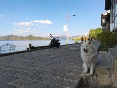 -丽江泸沽湖景区