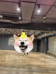 -嘉禾舞社 街舞培训工作室