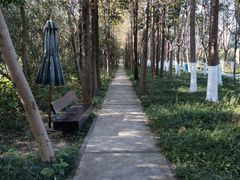 -昆山城市生态森林公园