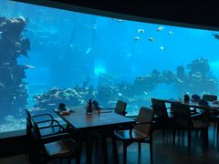 -海棠湾洲际-涛·海底餐厅·美人鱼·自助餐·海底隧道
