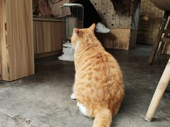 -悟饮门市景店
