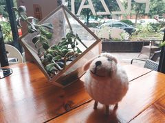 -彼芝奇比萨(红坊店)