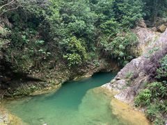 -南海湾森林生态园