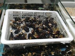 -鼓歌海鲜舫·手抓海鲜(大学城店)